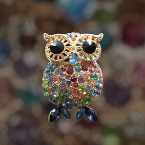 Colorful Rhinestone Owl Pendant/Brooch